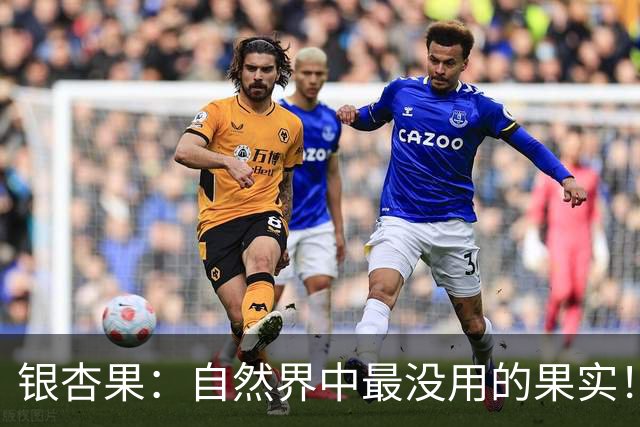 银杏果：自然界中最没用的果实！结果再多也一样沦为保护植物